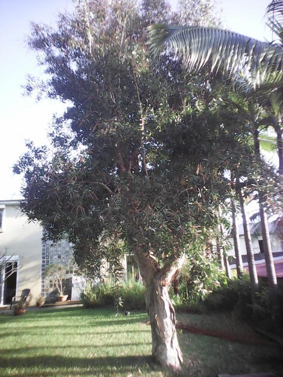 Villa Niagara avec Spa Sainte-Suzanne Extérieur photo